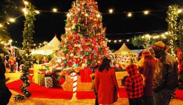 6 Days Gulmarg Srinagar Full Pacakge