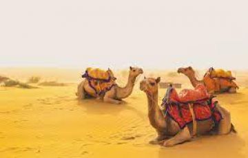 Jaisalmer 4days Package  With Best Deal