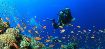Dudsagar & Goa Scuba Diving Tour Combo Package