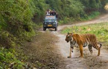 4 Days NANITAL and CORBETT Tour Package