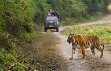 4 Days 3 Nights Delhi to NANITAL AND CORBETT Tour Package