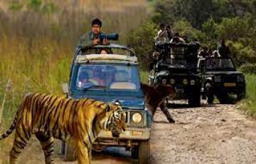 4 Days 3 Nights CORBETT /  DELHI to NANITAL Tour Package