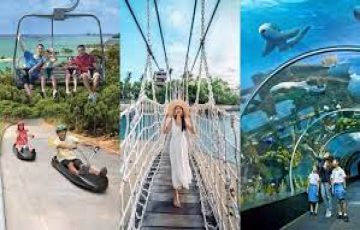 Singapore 4 Days Budget Package with sightseeing
