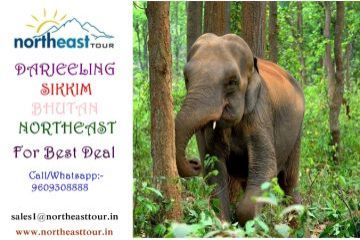 8 Days 7 Nights Sikkim -Darjeeling-Gangtok Friends Trip Package by Northeast Tour