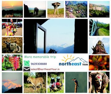 8 Days 7 Nights Sikkim -Darjeeling-Gangtok Friends Trip Package by Northeast Tour