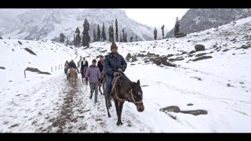 4 Days 3 Nights Srinagar Gulmarg  Budget Trip