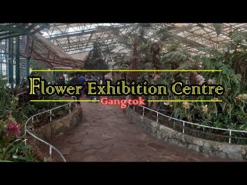 Heart-warming 4 Days Gangtok Tour Package by All India Vacation