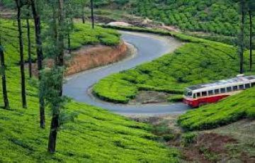5night 6days Coachin Munnar Kerala Tour Package