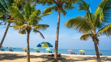 4 Days 3 Nights Marari Tour Package