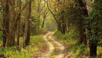 Tour Package for Mahabaleshwar & Lonavala 04 nights 05 days