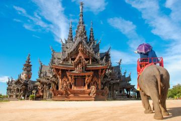 Sizzling Pattaya  3 Nights & 4 Days Honeymoon Tour Package