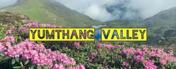 Mesmerizing SikkimGangtok, Pelling & North Sikkim 7Night & 8Days Package