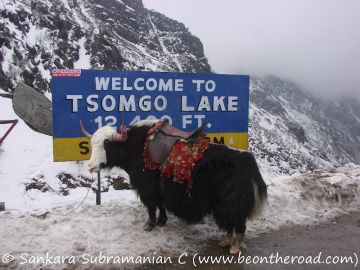 Mesmerizing SikkimGangtok, Pelling & North Sikkim 7Night & 8Days Package