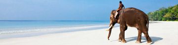 7 Days 6 Nights Beach view Andaman deluxe package by Platinum Tours and Travels