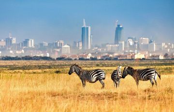 2 Days 1 Nights Nairobi Tour Package