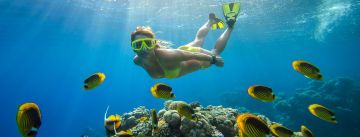 6n/7d Glimpse of Kerala  God's own Country