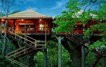 6n/7d Glimpse of Kerala  God's own Country