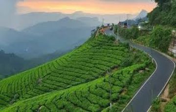 3 Days 2 Nights Munnar Tour Package by MITHILA TRAVELS