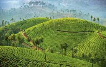 Marvellous Honeymoon Package, Kerala 4Night/ 5Days