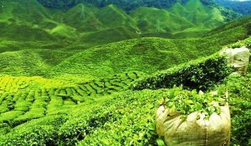 Goa Couple Adventure  Tour Package  6 Days