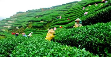 Goa Couple Adventure  Tour Package  6 Days