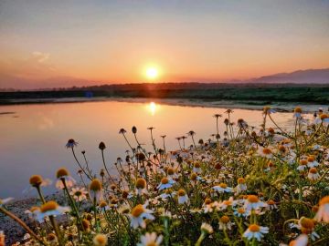 Goa Couple Adventure  Tour Package  6 Days