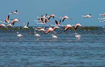AMAZING  ODISHA  TOUR PACKAGE