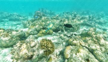 4 Days 3 Nights Honeymoon Plan with Makunudu Island Resort