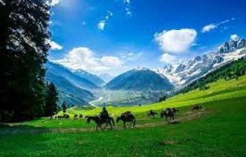 7 Nights 8 Days Jammu Katra & Kashmir 2 Star Package M/S North Curves Tour & Travel