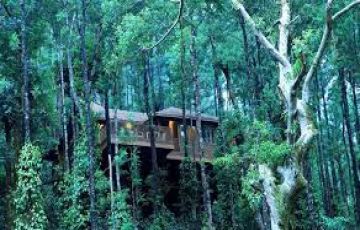 9 Days 8 Nights Deluxe package Ooty Coorg Wayanad Kodaikanal Package by  Wonder World TRAVEL