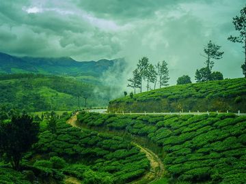 04N 05D Blooming Kerala Tour Package by  Wonder World TRAVEL