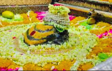 1 Night 2 Days Package Omkareshwar Package