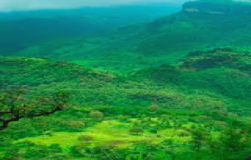 1 Night 2 days pachmarhi tour package