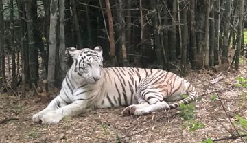 Beautiful Bangalore  2 Days 1 Nights Trip Package