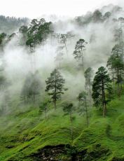 3 Days /2 Nights, Ooty Tour