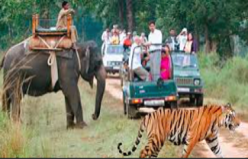 1 night 2 days kanha national park tour package