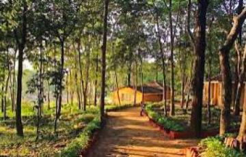 1 night 2 days kanha national park tour package
