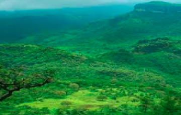 3 Night & 4 Days Bhopal-Panchmari Tour Pacakage