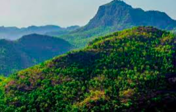 3 Night & 4 Days Panchmari-Bhopal Tour Pacakage .