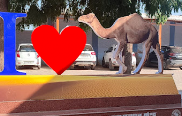 2Nights 3 Days  Bikaner Tour package