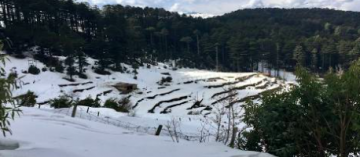 4 Days 3 Nights 1 Night Patnitop  2 Night Jammu Vacation Package