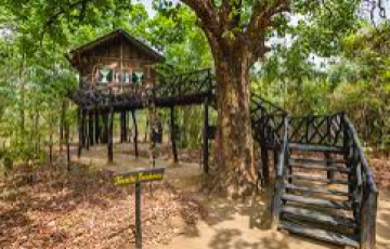 2 Nights 3 Days Jabalpur Bhandavgarh Tour Package