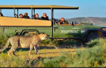 3 Nights 4 Days Gwalior,kuno National Park And Shivpuri Tour Package