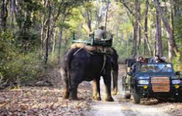 3 Nights 4 Days Jabalpur and Kanha National Park Tour Package