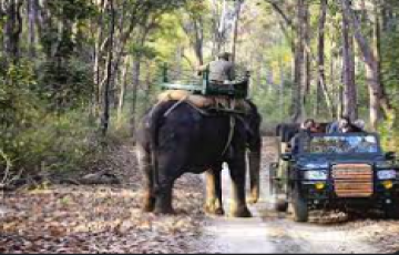 4 Days 3 Nights Jabalpur, Kanha National Park with Khajuraho Vacation Package