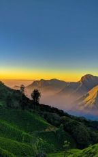 2 Days/1 Night, Munnar Tour Package