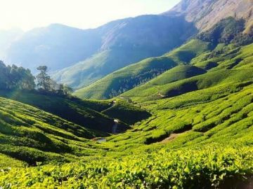 2 Night 3 Days Cochin Tour Pacakage ...