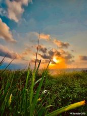 Ecstatic 3 Days / 2 Night Trip of Cochin