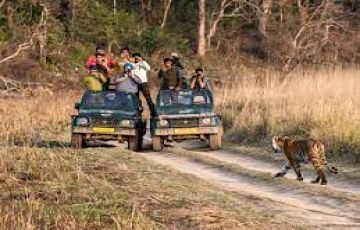 Magical 2 Days 1 Night Jim Corbett Holiday Tour Package