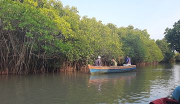 3 Days 2 Nights Pichavaram & Pondicherry Trip Package